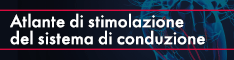 Atlante di stimolazione del sistema di conduzione | Giovanni Coluccia
